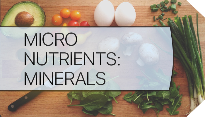 Micronutrients: Minerals